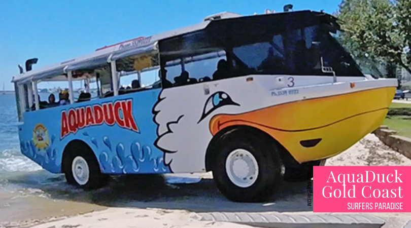 Things to do in Surfers Paradise with your family - Aquaduck Gold