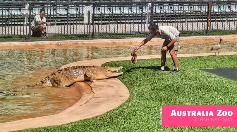 australia-zoo-sunshine-coast-mrs-lardeedah